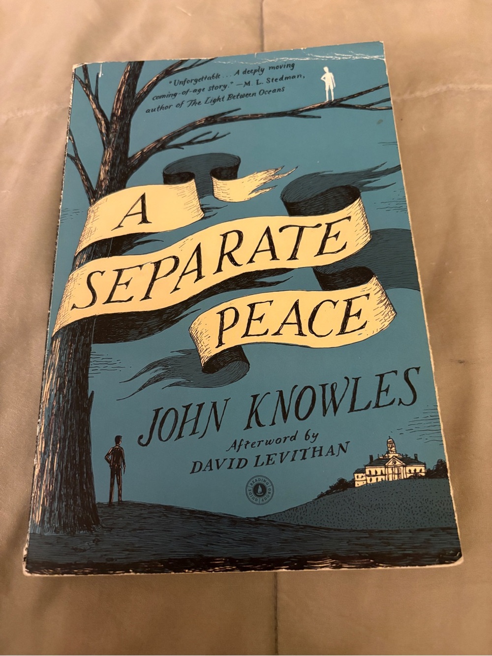 John Knowles A Separate Peace - Blue Paperback Book